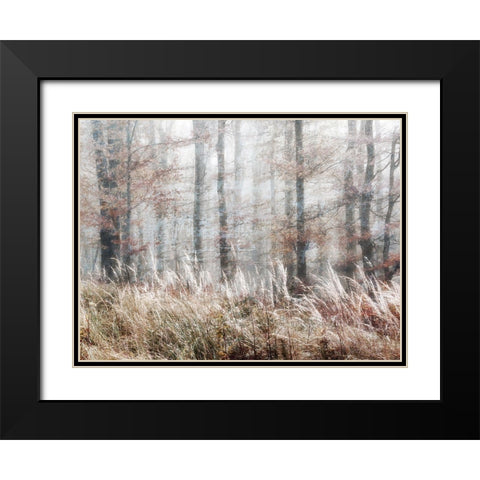 Always Magic in the Woods Black Modern Wood Framed Art Print with Double Matting by Weisz, Irene
