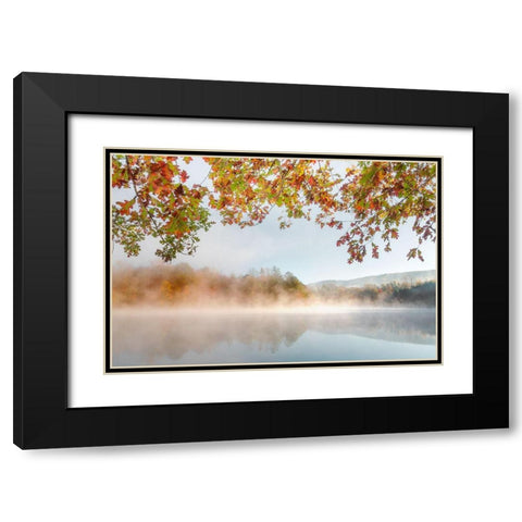 Autumn Misty Black Modern Wood Framed Art Print with Double Matting by Delimont, Danita