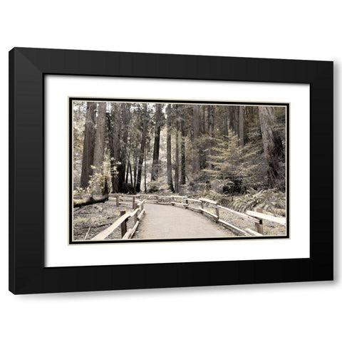 Solitude Path Black Modern Wood Framed Art Print with Double Matting by Delimont, Danita