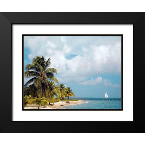 Caribbean Sea Black Modern Wood Framed Art Print with Double Matting by Delimont, Danita