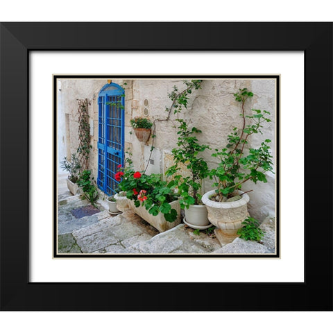 Front Door Oasis Black Modern Wood Framed Art Print with Double Matting by Delimont, Danita