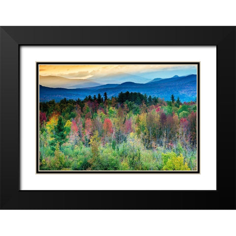 Natures Kaleidoscope Black Modern Wood Framed Art Print with Double Matting by Delimont, Danita