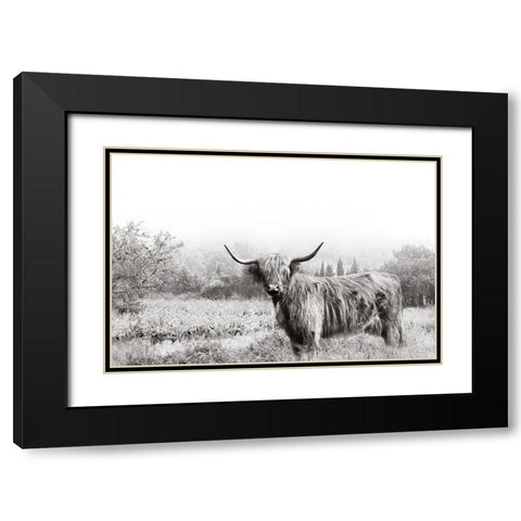 Highland Crossing Black Modern Wood Framed Art Print with Double Matting by Delimont, Danita