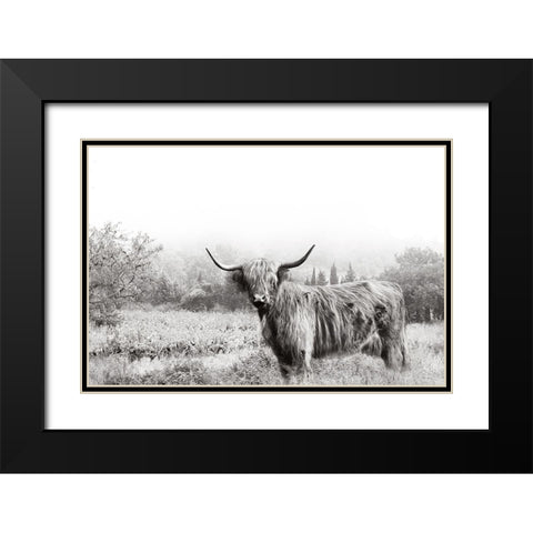 Highland Crossing Black Modern Wood Framed Art Print with Double Matting by Delimont, Danita