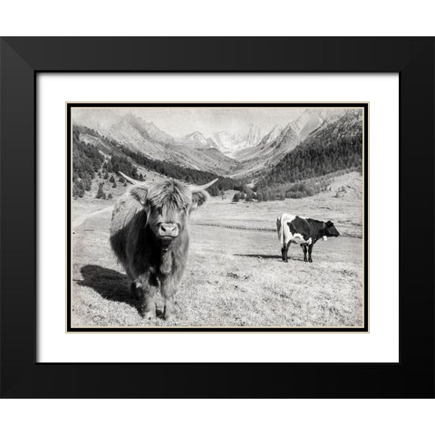 Highland Hills Black Modern Wood Framed Art Print with Double Matting by Delimont, Danita