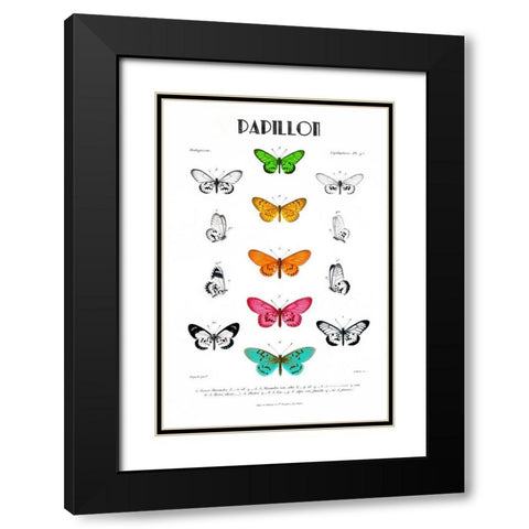 Papillion Black Modern Wood Framed Art Print with Double Matting by Donovan, Kelly