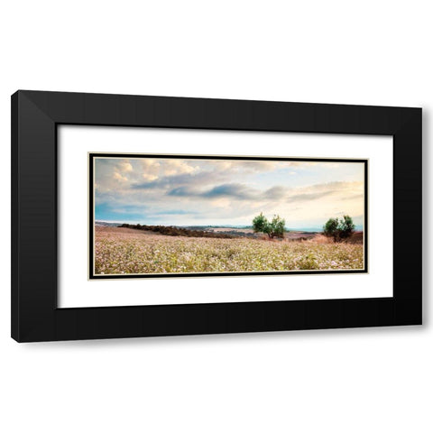 Tuscan Black Modern Wood Framed Art Print with Double Matting by Delimont, Danita