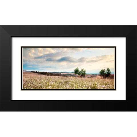 Tuscan Black Modern Wood Framed Art Print with Double Matting by Delimont, Danita