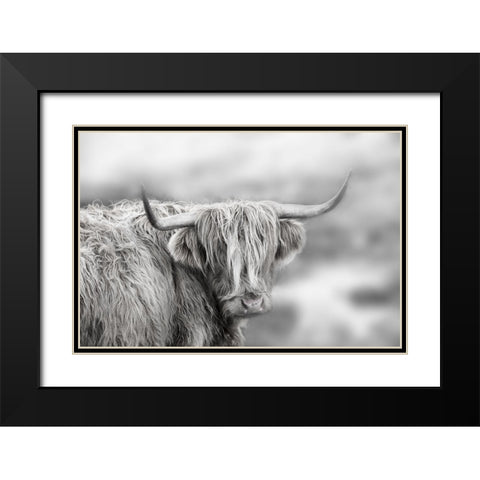 Roaming Isle of Skye Black Modern Wood Framed Art Print with Double Matting by Delimont, Danita
