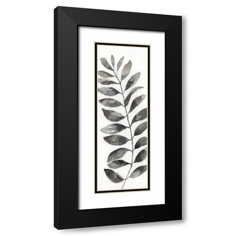 Natural Leaf II Black Modern Wood Framed Art Print with Double Matting by Nan