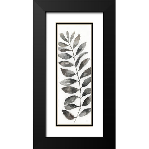Natural Leaf II Black Modern Wood Framed Art Print with Double Matting by Nan
