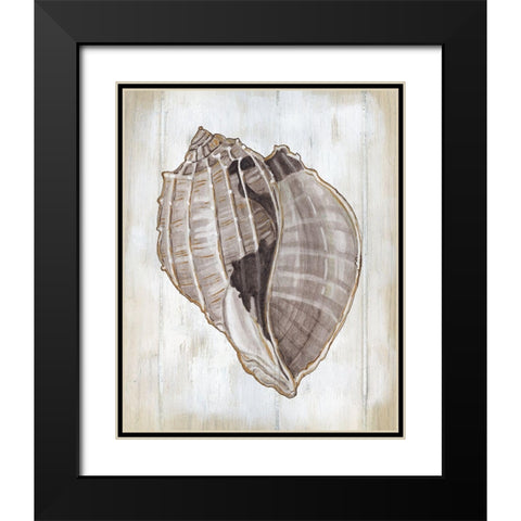 Ocean Cone II Black Modern Wood Framed Art Print with Double Matting by Robinson, Carol