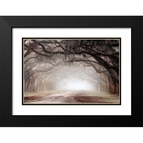 Timeless Plantation Drive Black Modern Wood Framed Art Print with Double Matting by Delimont, Danita