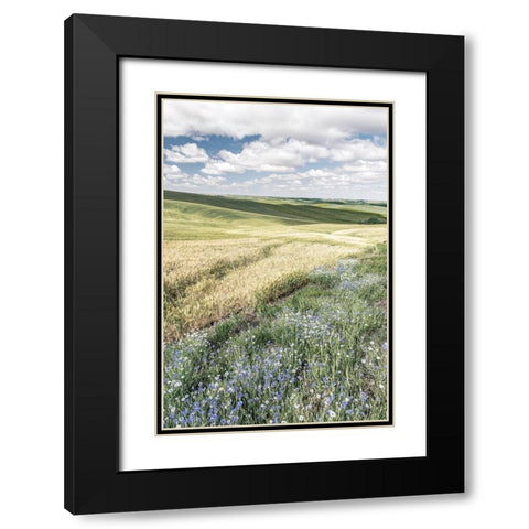 Wildflower Farm Black Modern Wood Framed Art Print with Double Matting by Delimont, Danita