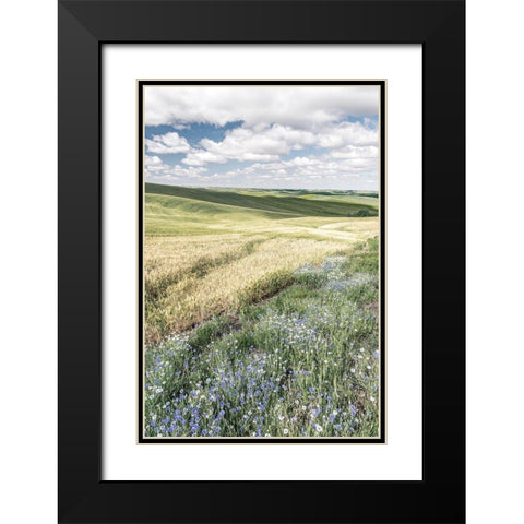 Wildflower Farm Black Modern Wood Framed Art Print with Double Matting by Delimont, Danita
