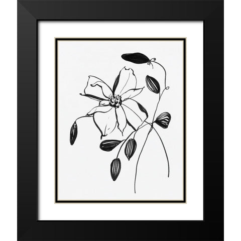 Wild Clematis II Black Modern Wood Framed Art Print with Double Matting by Swatland, Sally