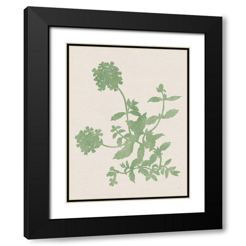 Vintage Garden II Black Modern Wood Framed Art Print with Double Matting by Jill, Susan