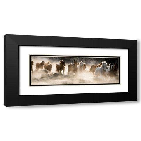 Kicking Up Dust Black Modern Wood Framed Art Print with Double Matting by Delimont, Danita
