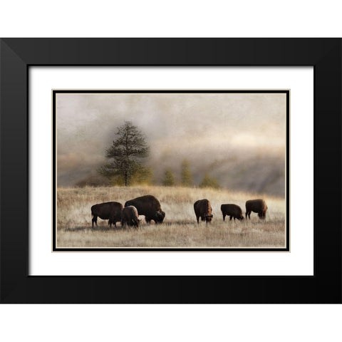 Ridge Grazing Black Modern Wood Framed Art Print with Double Matting by Delimont, Danita
