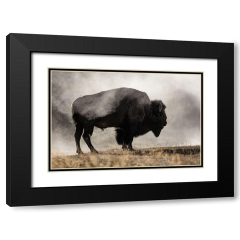Geyser Basin Black Modern Wood Framed Art Print with Double Matting by Delimont, Danita