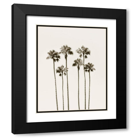 Palm Getaway Black Modern Wood Framed Art Print with Double Matting by Carpentieri, Natalie
