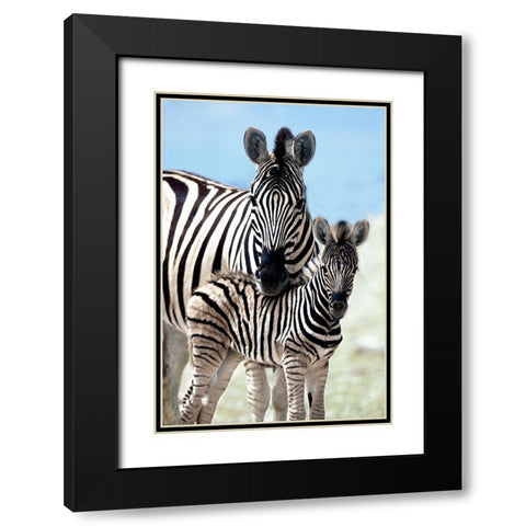 Family of Namibia Black Modern Wood Framed Art Print with Double Matting by Delimont, Danita