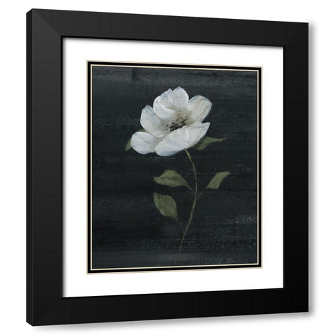 Country Botanical II Black Modern Wood Framed Art Print with Double Matting by Nan