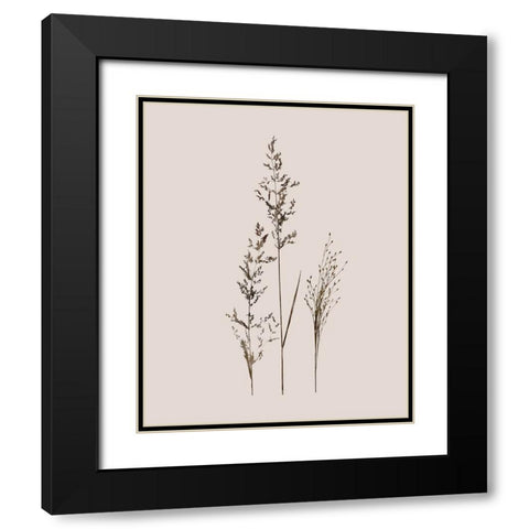 Delicate Stems I Black Modern Wood Framed Art Print with Double Matting by Robinson, Carol