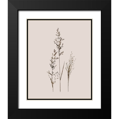 Delicate Stems I Black Modern Wood Framed Art Print with Double Matting by Robinson, Carol