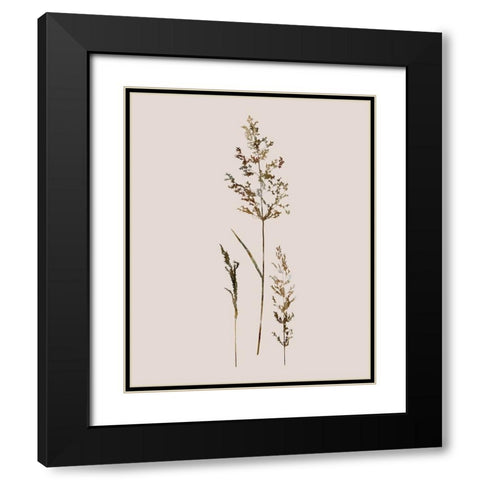 Delicate Stems II Black Modern Wood Framed Art Print with Double Matting by Robinson, Carol