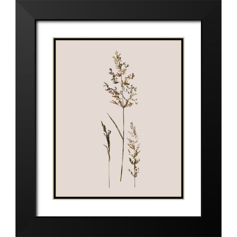 Delicate Stems II Black Modern Wood Framed Art Print with Double Matting by Robinson, Carol