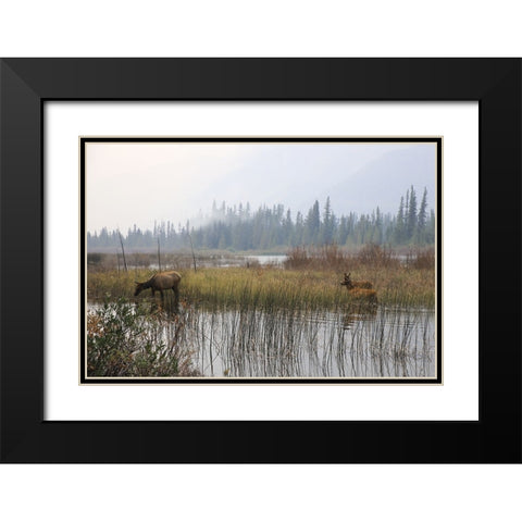 Out with the Twins Black Modern Wood Framed Art Print with Double Matting by Robinson, Carol