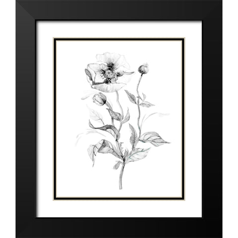 Wild Poppy Black Modern Wood Framed Art Print with Double Matting by Robinson, Carol
