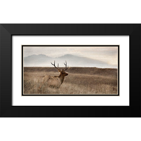 Now You See Me Black Modern Wood Framed Art Print with Double Matting by Delimont, Danita