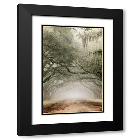 Plantation Drive Black Modern Wood Framed Art Print with Double Matting by Delimont, Danita