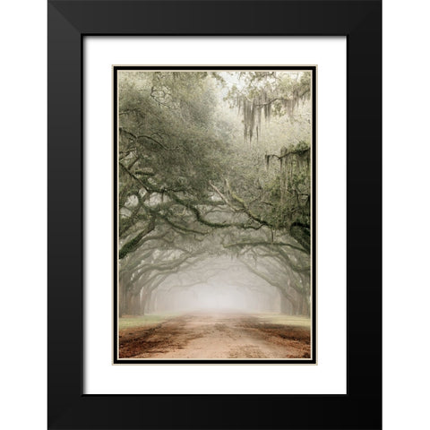 Plantation Drive Black Modern Wood Framed Art Print with Double Matting by Delimont, Danita