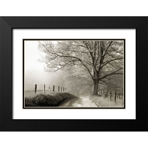 Soft Smokies Black Modern Wood Framed Art Print with Double Matting by Delimont, Danita