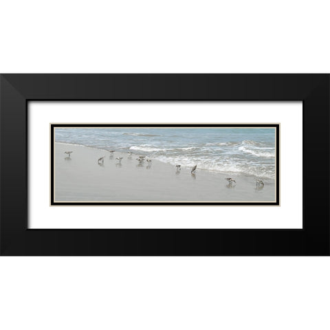 Shorebirds Black Modern Wood Framed Art Print with Double Matting by Carpentieri, Natalie