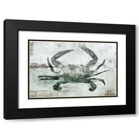 Neutral Crab I Black Modern Wood Framed Art Print with Double Matting by Nan