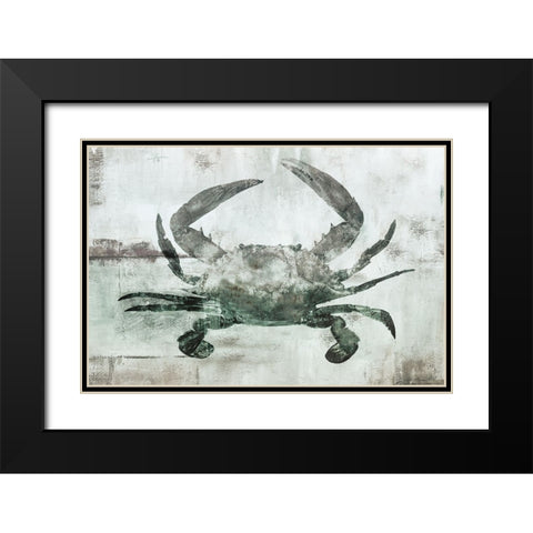 Neutral Crab I Black Modern Wood Framed Art Print with Double Matting by Nan