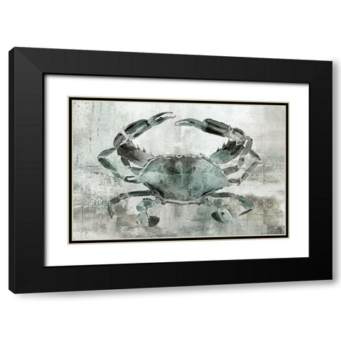 Neutral Crab II Black Modern Wood Framed Art Print with Double Matting by Robinson, Carol