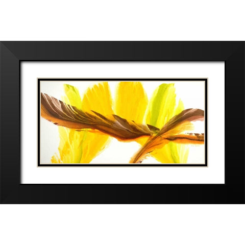 Contrary Black Modern Wood Framed Art Print with Double Matting by Segrest, Jane