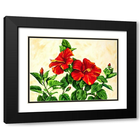 Red Hibiscus Black Modern Wood Framed Art Print with Double Matting by Segrest, Jane