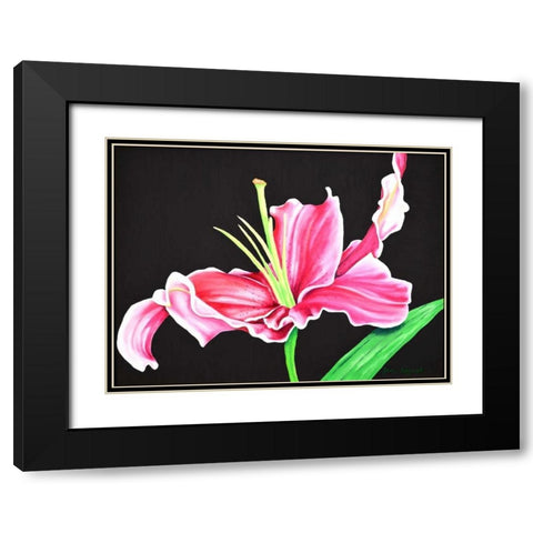 Pink Lily Black Modern Wood Framed Art Print with Double Matting by Segrest, Jane