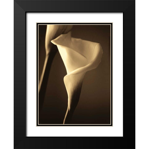 Divinity II Black Modern Wood Framed Art Print with Double Matting by Ryan, Cinzia