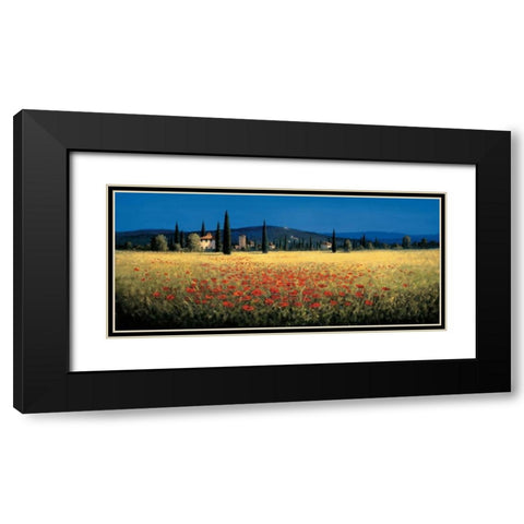 Tuscan Panorama - Poppies Black Modern Wood Framed Art Print with Double Matting by Short, David