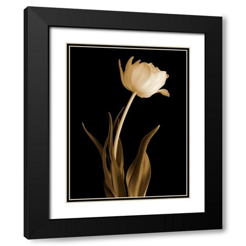 Classic Beauty Black Modern Wood Framed Art Print with Double Matting by Britt, Charles