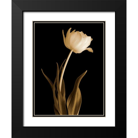 Classic Beauty Black Modern Wood Framed Art Print with Double Matting by Britt, Charles