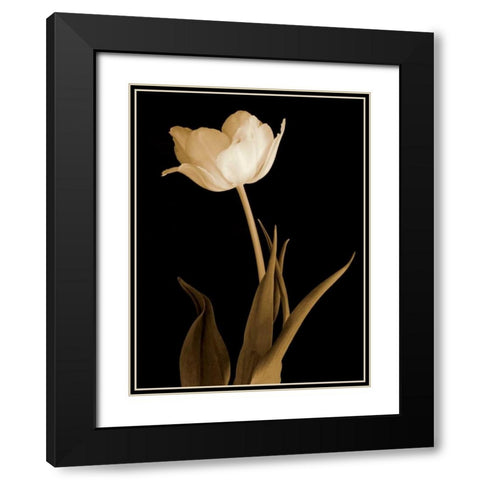Splendid Beauty Black Modern Wood Framed Art Print with Double Matting by Britt, Charles
