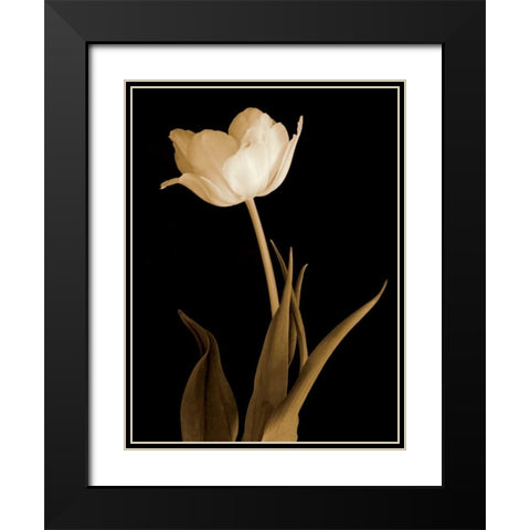 Splendid Beauty Black Modern Wood Framed Art Print with Double Matting by Britt, Charles